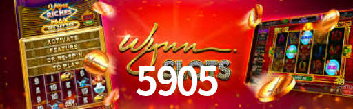 Interface Premium 5905